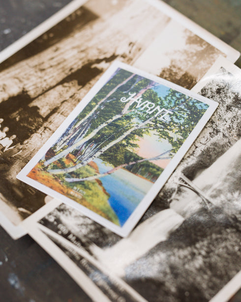 "Birches Postcard" Sticker